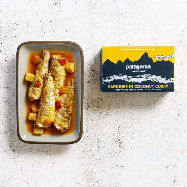 Sardines Coconut Curry Tin Fish - Patagonia Provisions