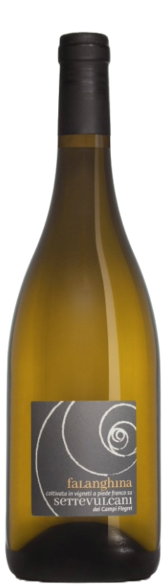 Salvatore Martusciello 