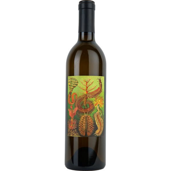 Birichino Monterey Malvasia Bianca 2023