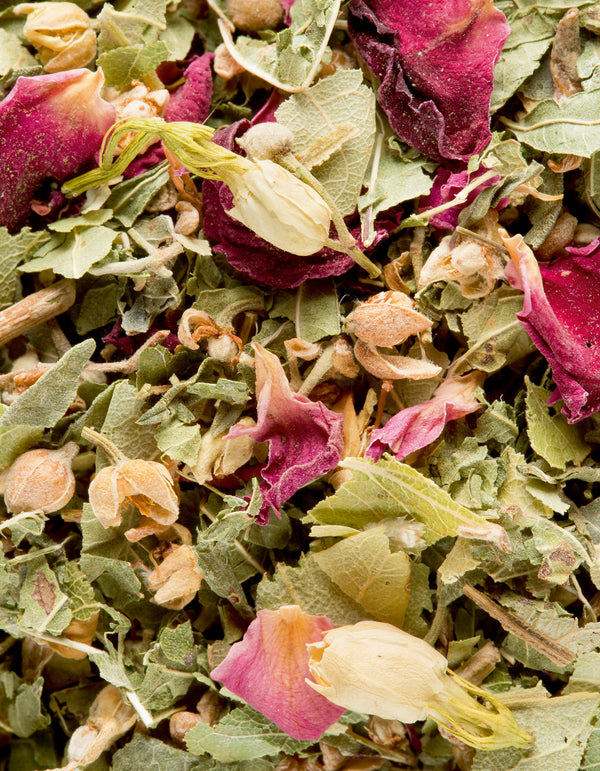 Bali Herbal Tea  Bags - Dammann Freres