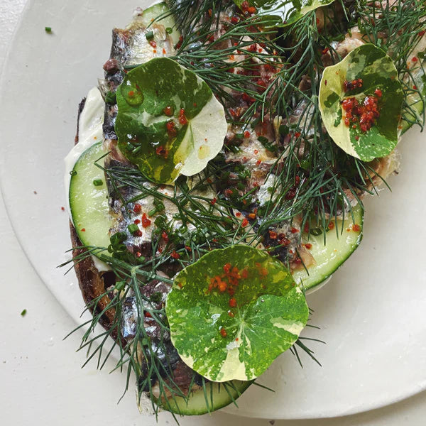 Sardines with Hot Pepper - Fishwife