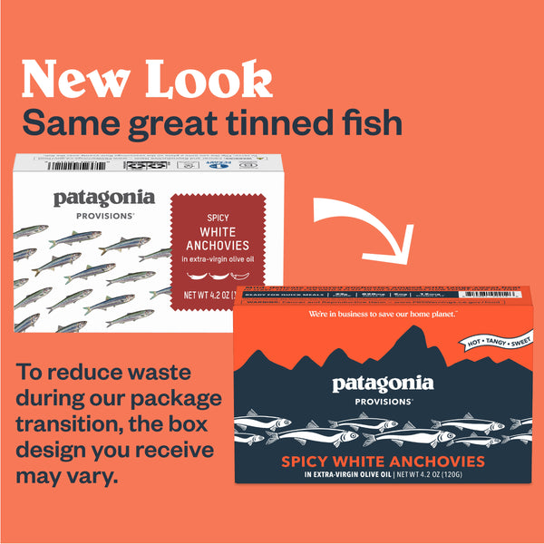 Spicy Anchovies Tin Fish - Patagonia Provisions