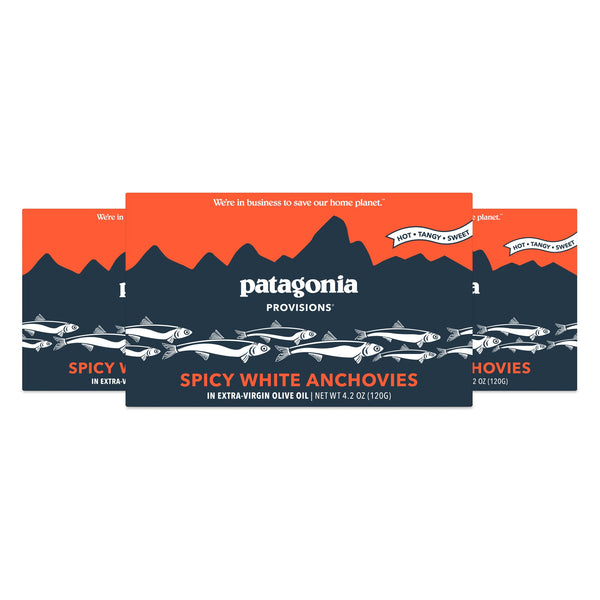 Spicy Anchovies Tin Fish - Patagonia Provisions