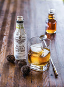 Black Walnut Bitter - Fee Brothers Bitters