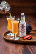 Plum Bitter - Fee Brothers Bitters