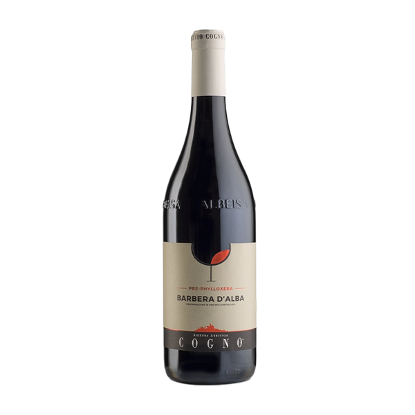 Elvio Cogno Barbera D'Alba Pre-Phylloxera 2022