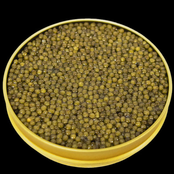 Browne Trading Co Royal Galilee Osetra Caviar 30g