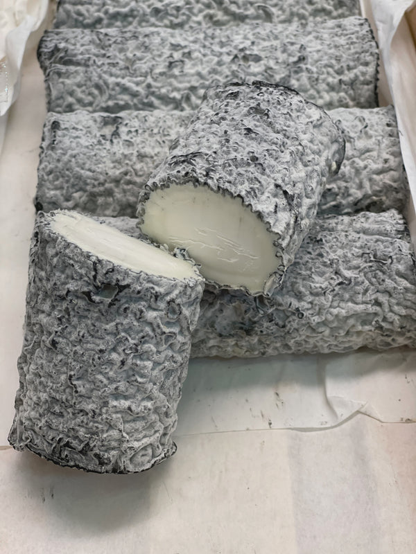Ptit Ste Maure Cendré - 
