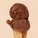 Single Serving Darkest Chocolate - Jeni's Splendid Ice Cream