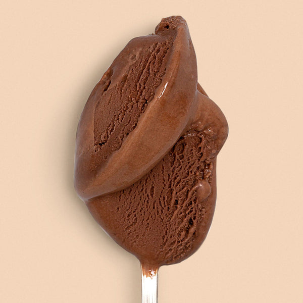 Single Serving Darkest Chocolate - Jeni's Splendid Ice Cream