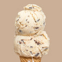Salted Peanut Butter with Chocolate Flecks - Jeni's Splendid Ice Cream