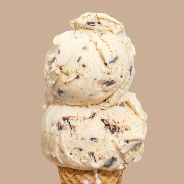 Salted Peanut Butter with Chocolate Flecks - Jeni's Splendid Ice Cream