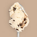 Salted Peanut Butter with Chocolate Flecks - Jeni's Splendid Ice Cream