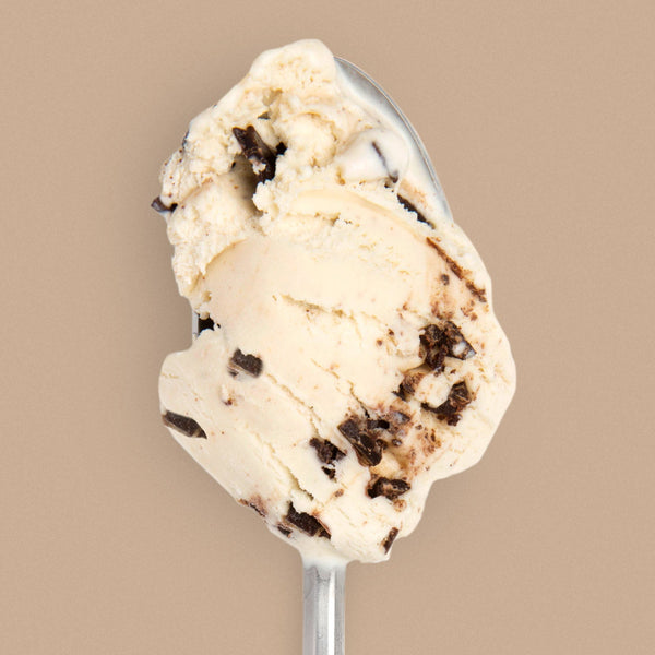 Salted Peanut Butter with Chocolate Flecks - Jeni's Splendid Ice Cream