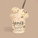 Salted Peanut Butter with Chocolate Flecks - Jeni's Splendid Ice Cream