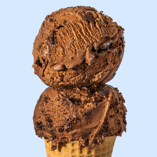 Texas Sheet Cake (Dairy Free) - Jeni's Splendid Ice Cream