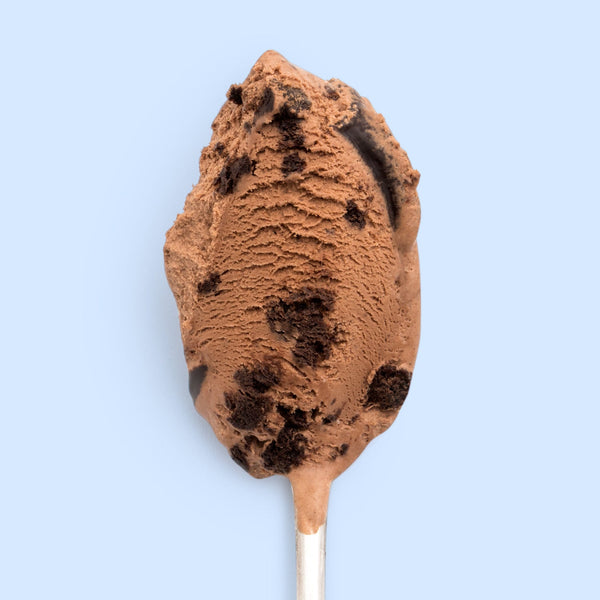 Texas Sheet Cake (Dairy Free) - Jeni's Splendid Ice Cream
