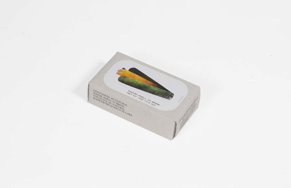 Razor Shells in Brine 110g Tin Fish - Jose Gourmet
