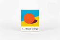 Blood Orange 70%, 70g - Ocelot Chocolate