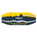 Sardines Coconut Curry Tin Fish - Patagonia Provisions