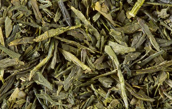 Sencha Fukuyu n42 Tea Loose Leaf Tin - Dammann Freres