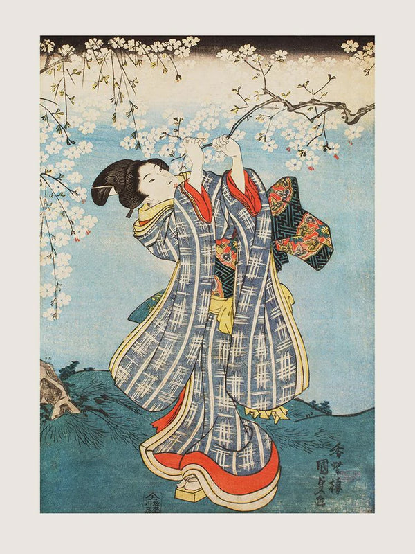 KUNISADA Beauty Picking a Branch of Cherry Blossom 1843-1847 Poster