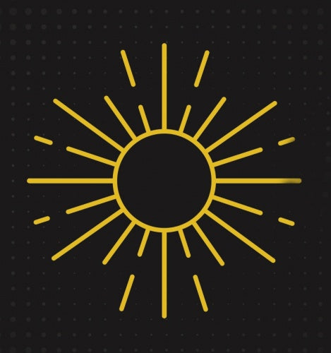 Charles Towne Fermentory Sungazer IPA