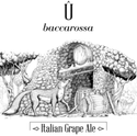Ca' del Brado Û baccarossa Sour *375 ml Bottle*