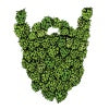 Fonta Flora Hop Beard IPA