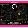 Equilibrium Field Theory IPA