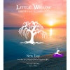 Little Willow New Day IPA