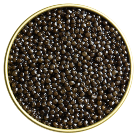 Caviar