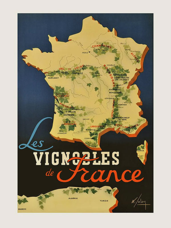 The vineyards of France Poster