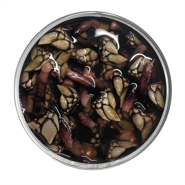 Barnacles in Brine Tin Fish - Conservas de Cambados